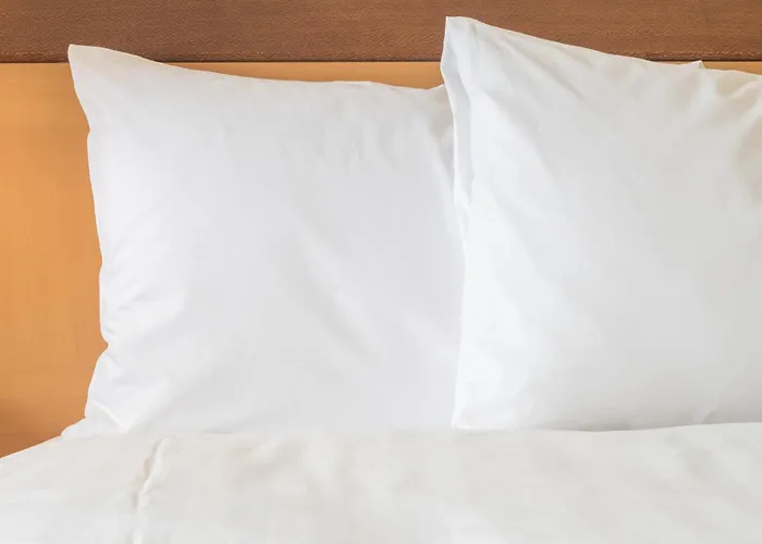 Hotel Indigo Chicago - By Ihg 3*